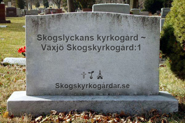 Skogslyckan Växjö